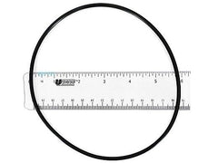 PENTAIR 154493 O-RINGS & GASKETS