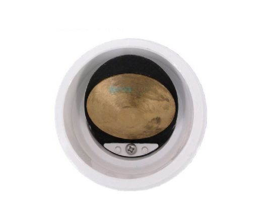 PENTAIR Pentair 274725 Union with Check Valve
