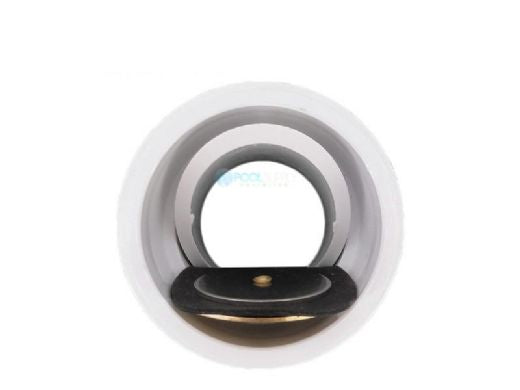 PENTAIR Pentair 274725 Union with Check Valve