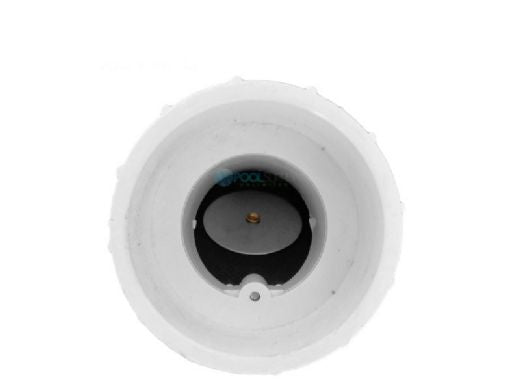 PENTAIR Pentair 274725 Union with Check Valve