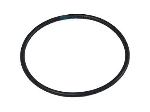 PENTAIR 352602 O-RINGS & GASKETS