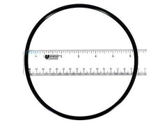 Pentair 354634 Dynamo Diffuser Bracket O-Ring | 3/16 Inch