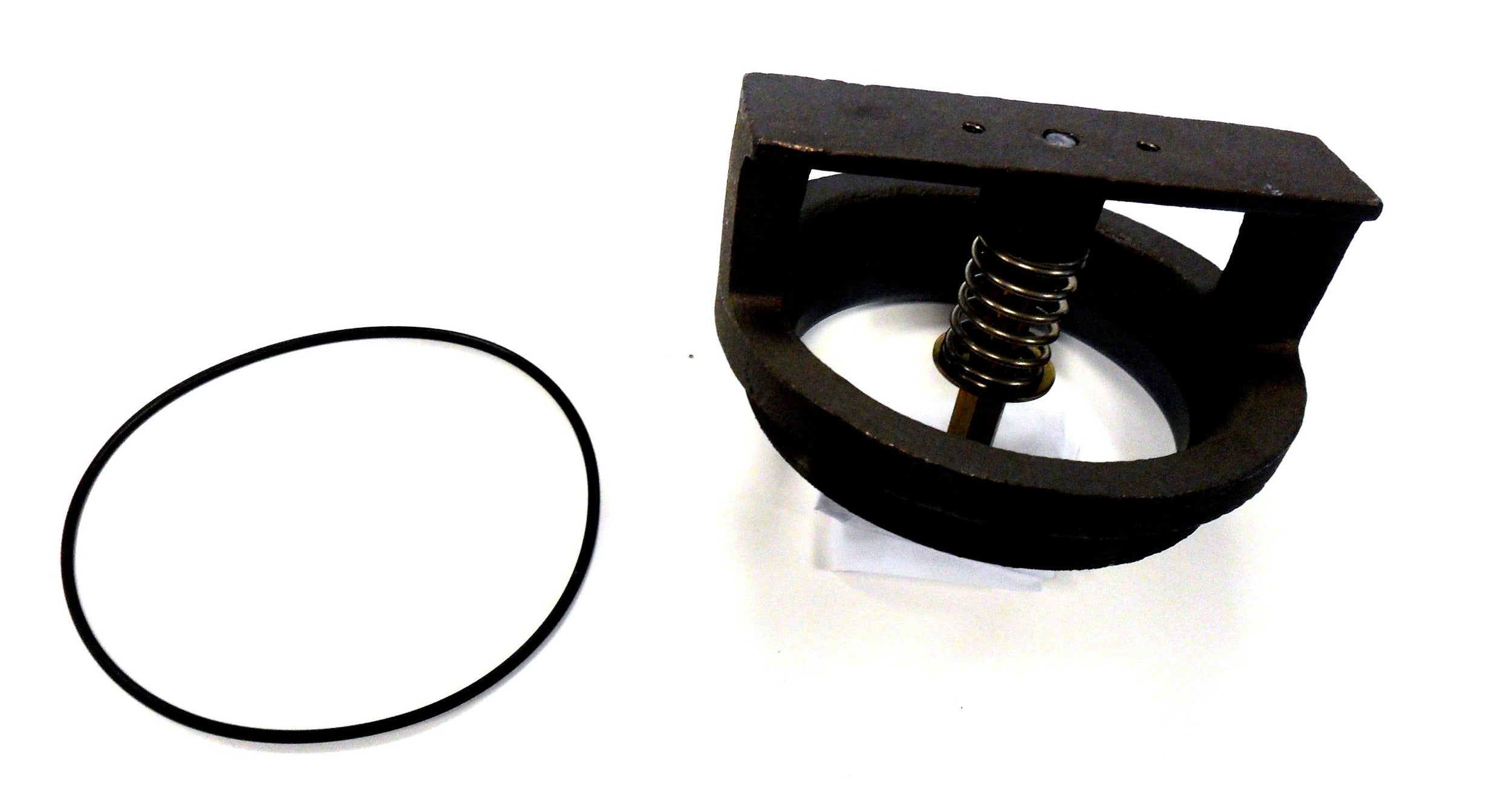 WATTS Watts 0886024 Bonnet Assembly Repair Kit (1-1/4 inches-2 inches) W886024