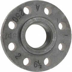 ASC ENGINEERED SOLUTIONS Anvil 0308500305 Iron Threaded Pipe Flange 2in Class 250