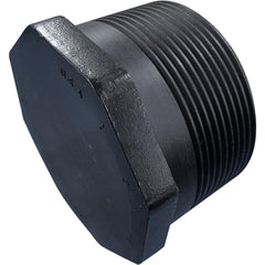 NIBCO Nibco CC03850 Hex Plug 3 in Polypropylene Sch 80 Mnpt