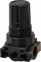 PARKER Parker R24-02BK Miniature Air Regulator 1/4 Inch Npt