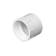 CHARLOTTE PIPE Charlotte Pipe PVC 00101 1000HA 2 In Hub x 2 In FPT Schedule 40 DWV PVC Adapter (2 In.)