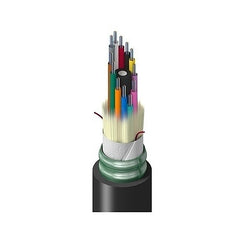 BELDEN Belden Inc. TFSLG144RS5N 144-fiber OS2 Riser Pvc Cable