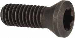 SECO TOOLS Seco 02436160 Lock Screw TP15 Torx Plus M3.5 Thread Milling