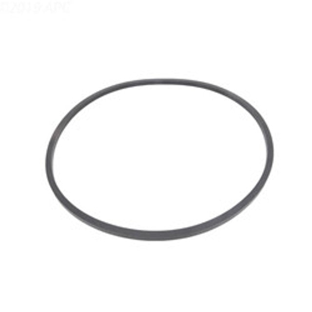 PENTAIR 357099Z O-RINGS & GASKETS