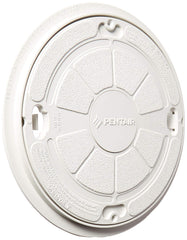 PENTAIR 85000400 SKIMMER PARTS
