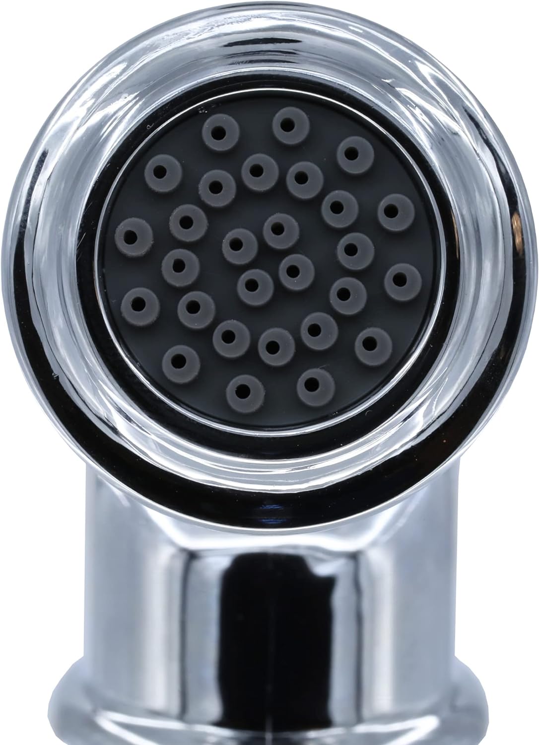 DANCO Danco 89215 Kitchen Sink Side Spray Head and Hose Chrome 1-Pack