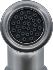 Danco 89216 Universal Decorative Side Spray and Hose Pack of 1