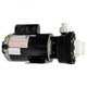 LX PUMPS Lx Pumps 56WUA400-1 Spa Pump 2HP 230V 1-speed 56 Frame