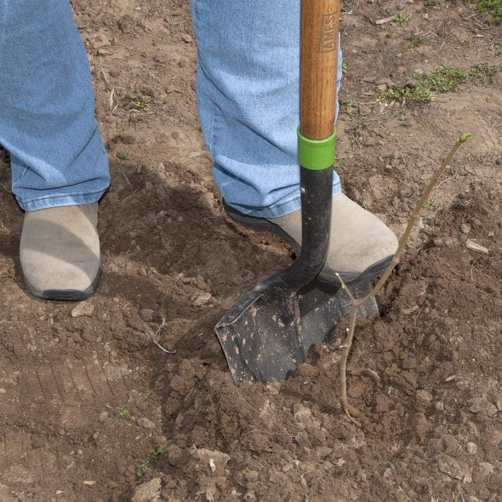AMES AMES 2535600 Tempered Steel Digging Shovel with Hardwood Handle 60-Inch