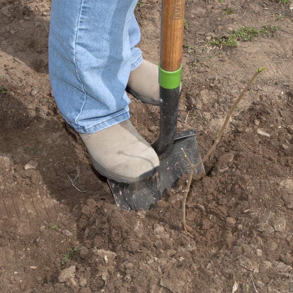 AMES AMES 2535600 Tempered Steel Digging Shovel with Hardwood Handle 60-Inch