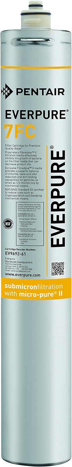 PENTAIR EV9692-61 CARTRIDGE WATER FILTERS