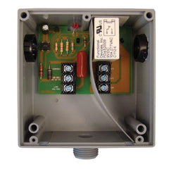 FUNCTIONAL DEVICES RIBU1CW RELAYS