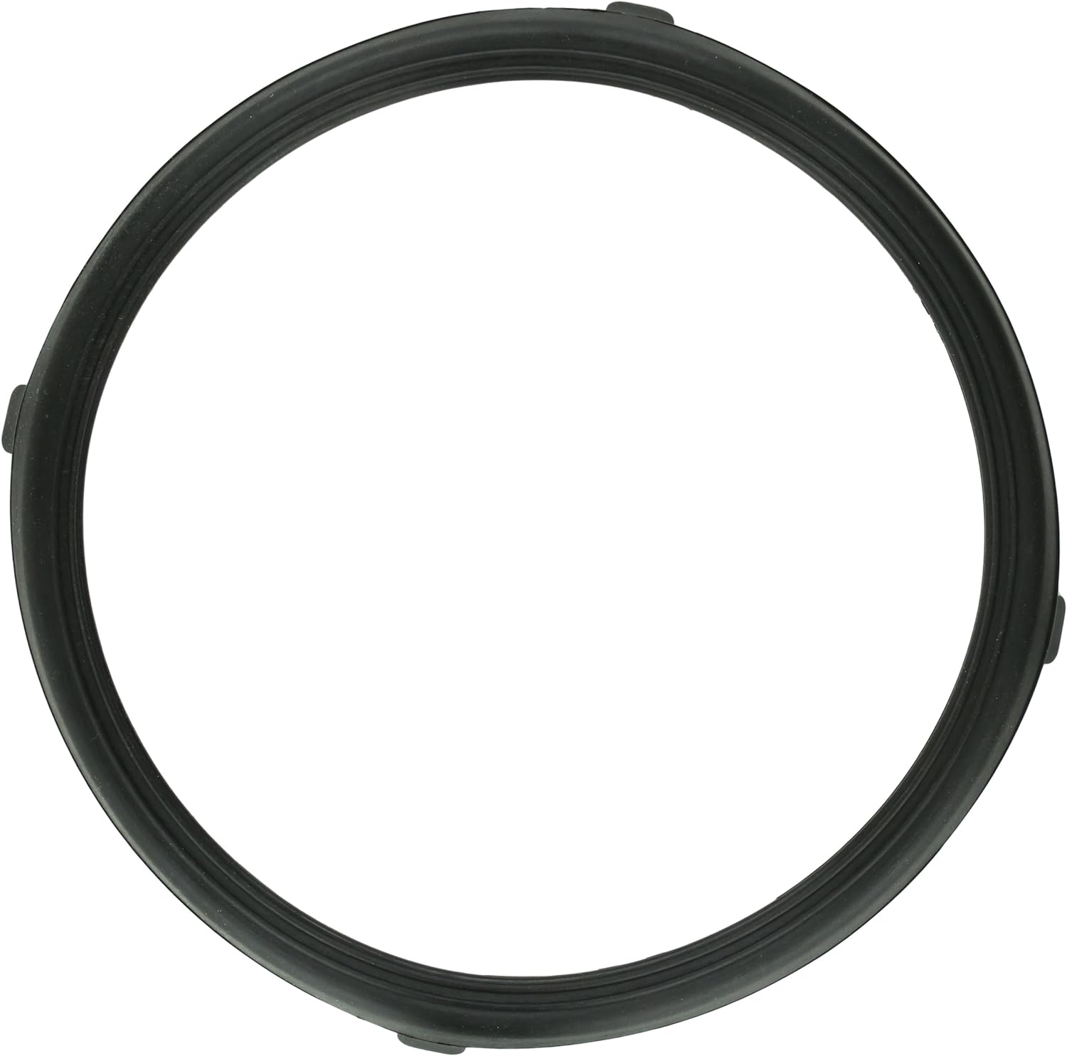 PENTAIR 619599Z POOL O-RINGS & GASKETS