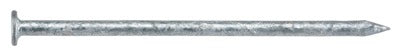 HILLMAN Hillman Fasteners 461314 Galvanized Box Nails 1.5 Lb 4D