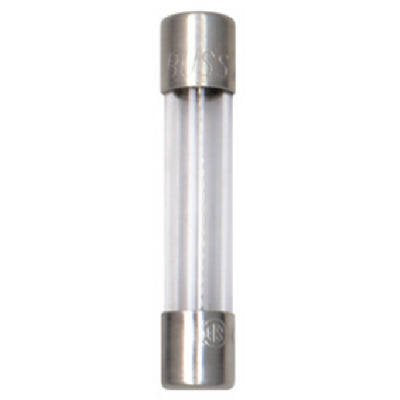 TRUE VALUE BP/AGC-4-RP FUSES