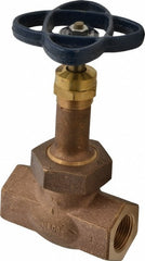 NIBCO Nibco NL3X008 Bronze Globe Valve 3/4 in Threaded 600 Psi