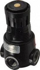 WILKERSON Wilkerson R03-02-000 Miniature Air Regulator 1/4 Npt