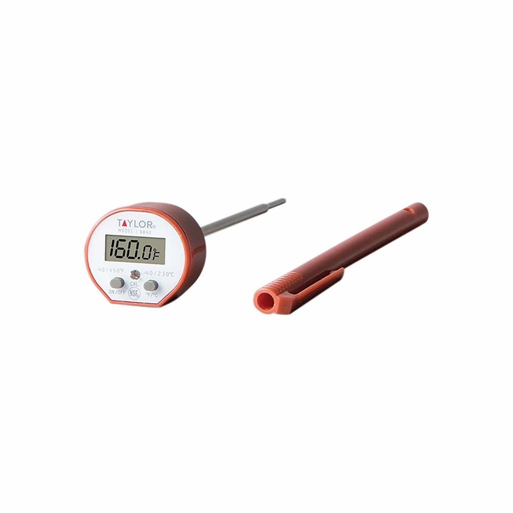 TAYLOR TECHNOLOGIES Taylor 9842 Dual Input Digital Thermometer 300F