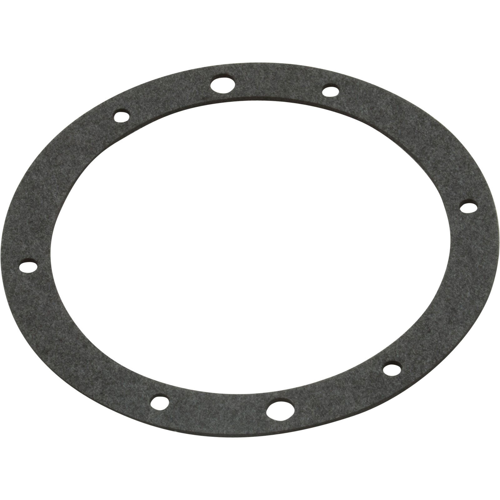 PENTAIR 79204603 GASKETS