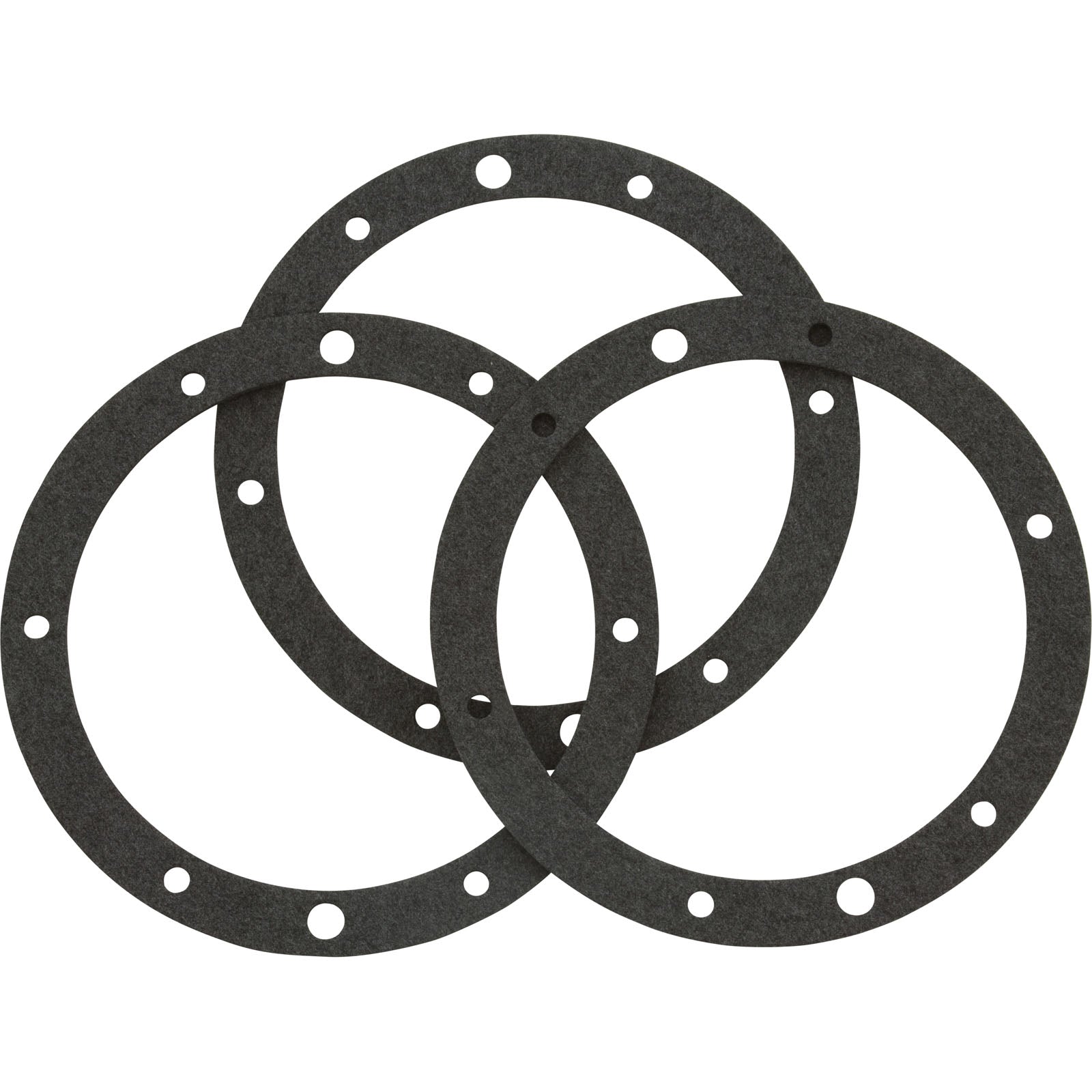 PENTAIR Pentair 79204603 Small Niche Gasket Set Without Double Wall Gasket