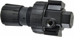 PARKER Parker 06R113AC Compact Air Regulator 53 Cfm 250 Psi