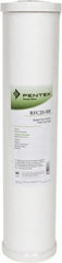 PENTAIR Pentair 155247-43 Gac Cartridge Filter 25 Micron 20 Inch