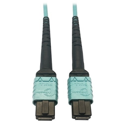 TRIPP LITE Tripp Lite N846D-01M-24AAQ Mpo Trunk Cable 24-fiber 1M