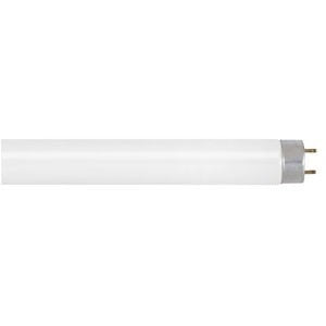 SATCO-NUVO Satco-Nuvo S8412 T8 Fluorescent Lamp 25 Watt (36 Inch)