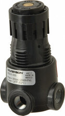 WILKERSON Wilkerson R03-01-000 Mini Air Regulator 300 Psi 1/8 Npt