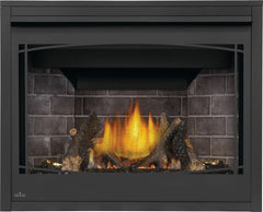 NAPOLEON Napoleon BX42PTRE Ascent X Direct Vent Gas Fireplace 42in