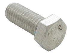 Pentair 071687 EQ & C Series Hex Head Bolt | Stainless Steel | 071687