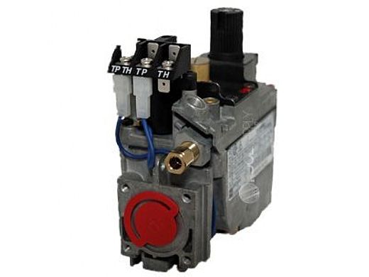 PENTAIR 471436 GAS VALVES