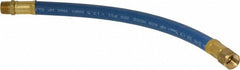 COILHOSE PNEUMATICS Coilhose Pneumatics RP0612S Lead-in Whip Hose 3/8 in