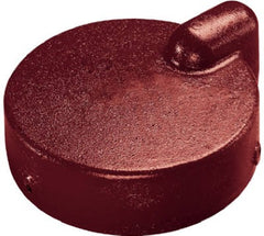ASHLAND Ashland Water Group WC622 Cast Iron Well Cap 6 Inches