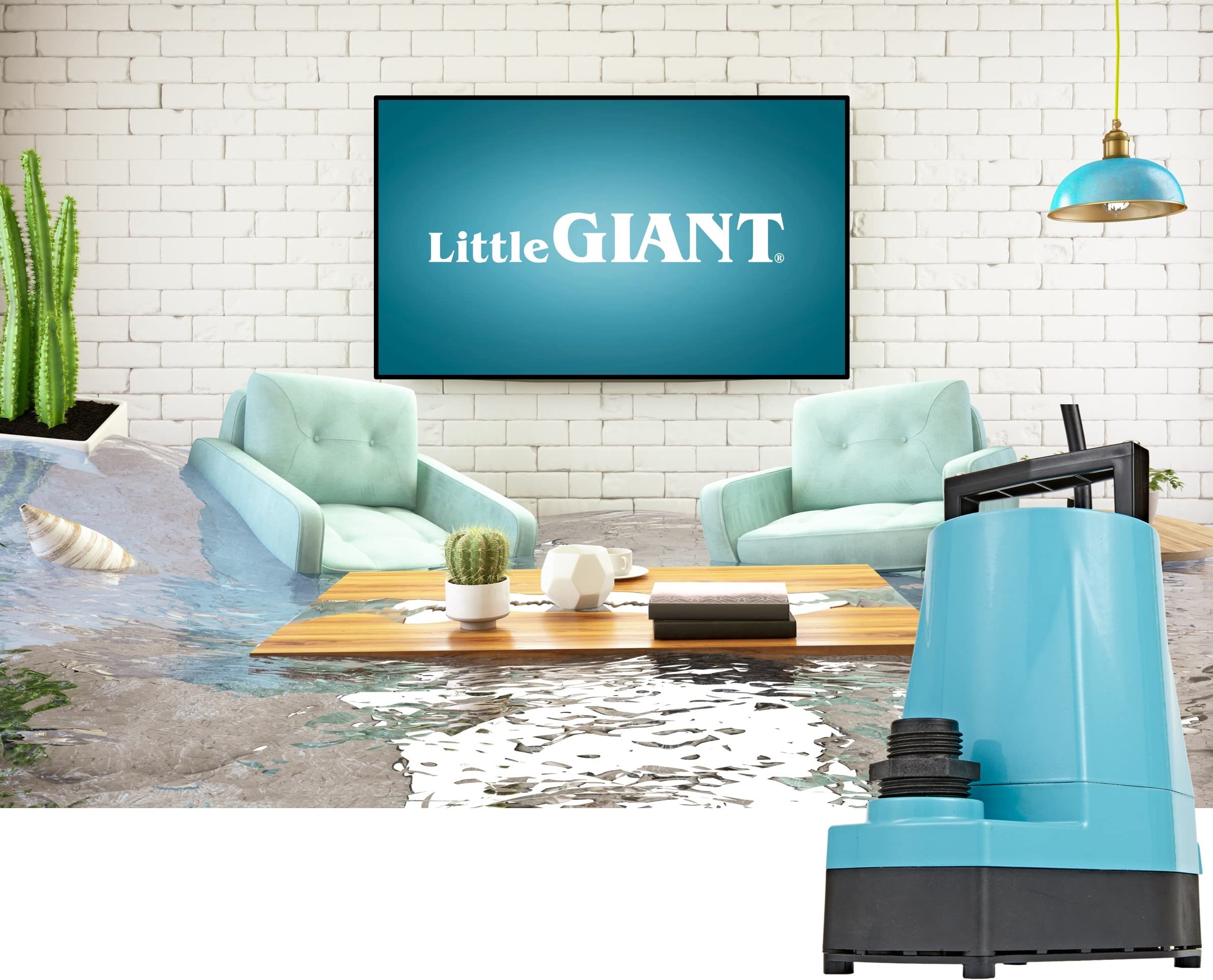 LITTLE GIANT Little Giant 505712 Submersible Pump 115V 1/6 HP 25-Ft Cord