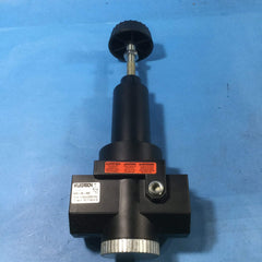 Wilkerson R30-06-000 3/4 inch 300 PSI Air Regulator
