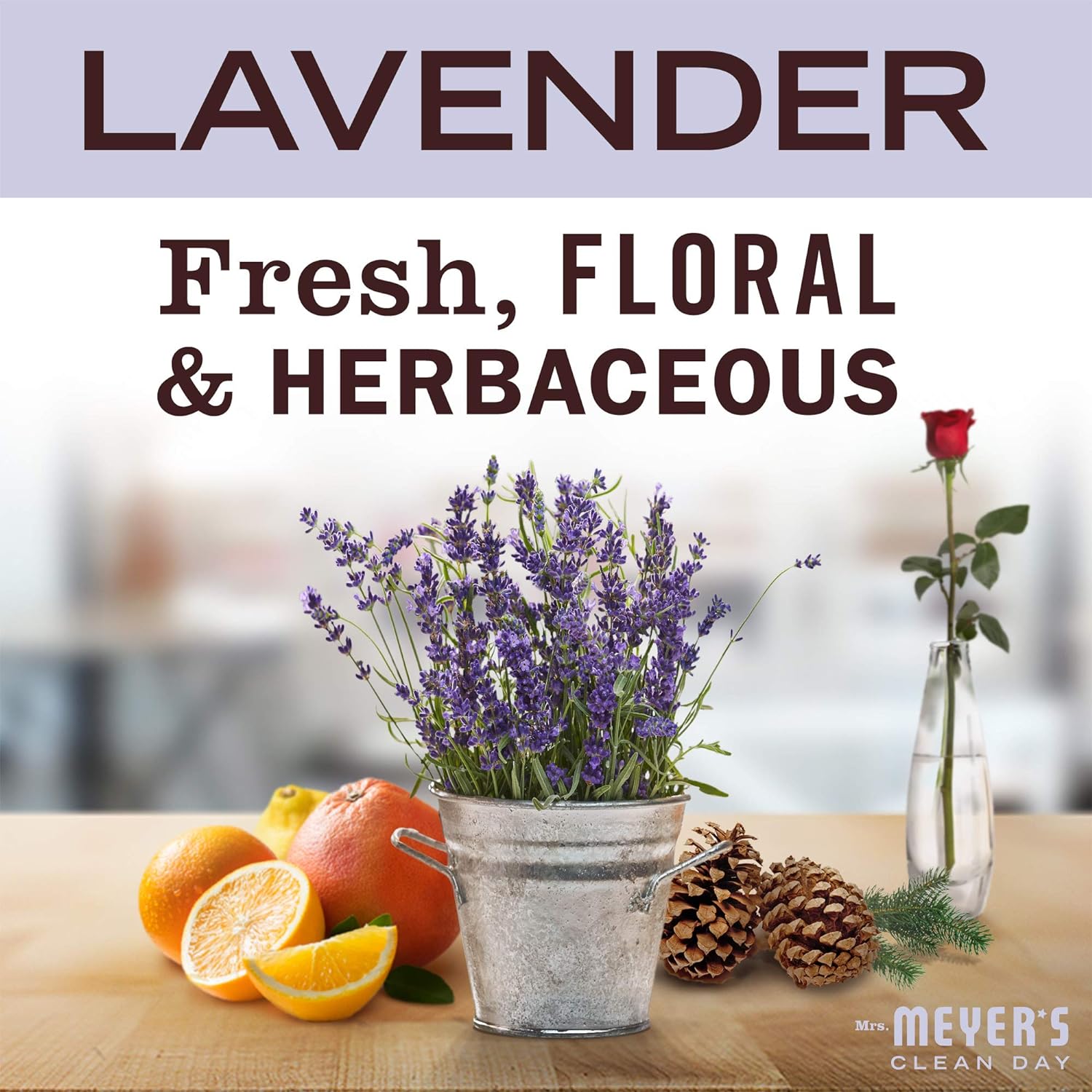 MRS MEYERS CLEAN DAY Mrs. Meyer's Clean Day 651318 Hand Soap Refill Lavender 33 fl oz Pack of 6