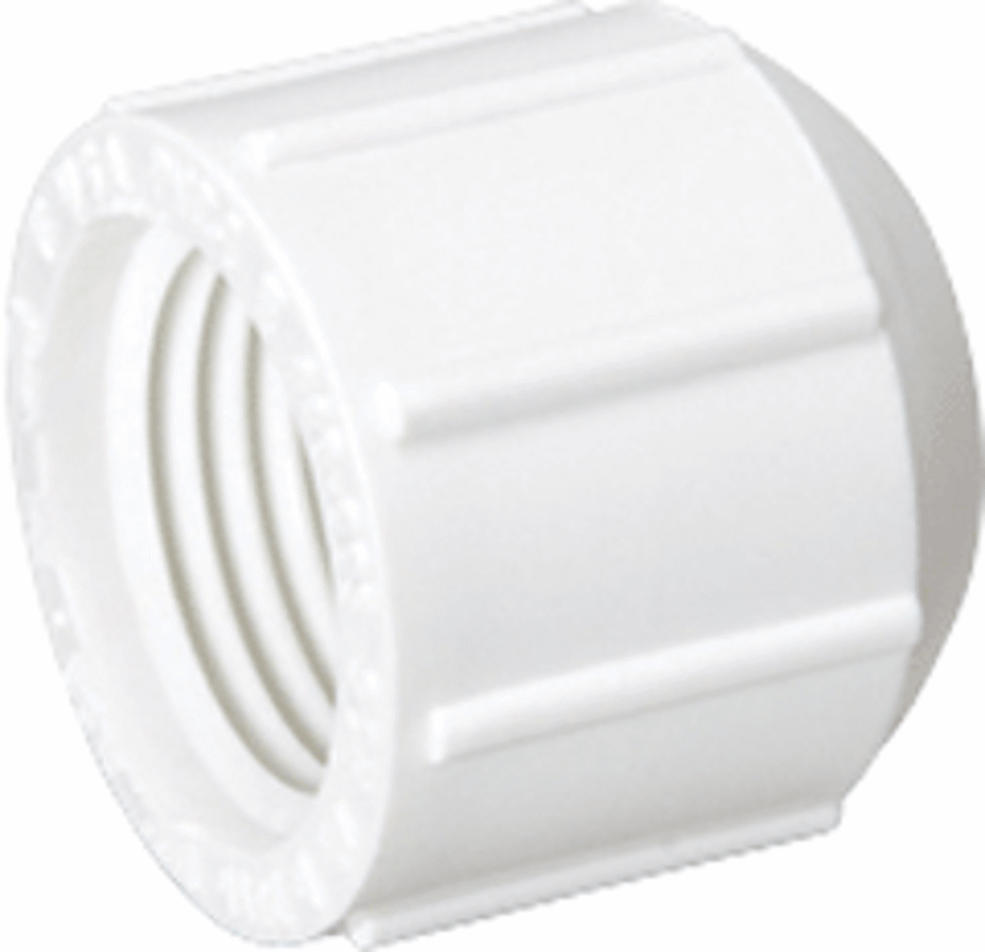 MUELLER Mueller 448-007 PVC Cap 3/4 FPT Schedule 40 (50 per box)