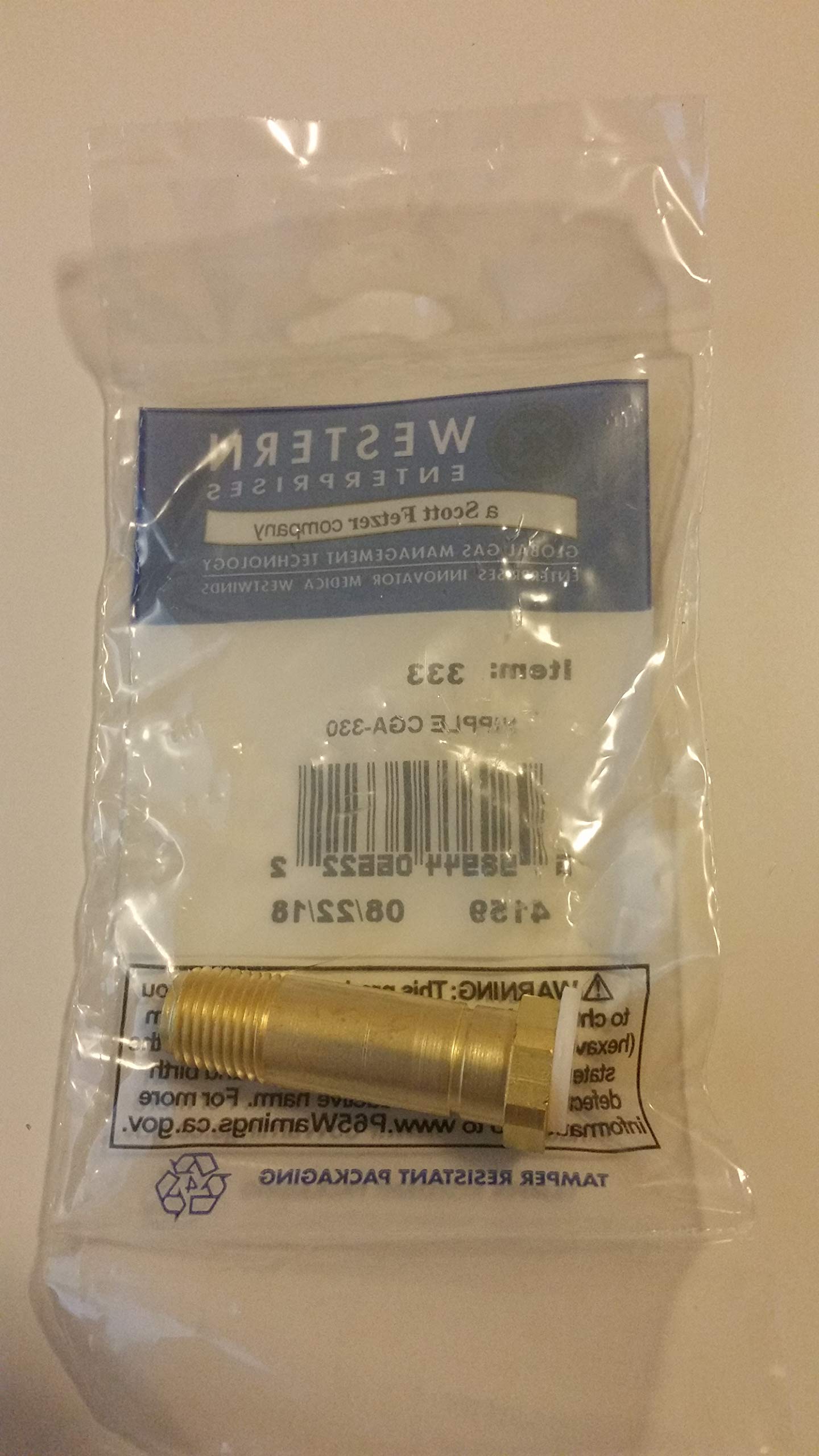 WESTERN ENTERPRISES Western Enterprises SS-333 Regulator Inlet Nipple 1/4 Inch NPT Stainless Steel, 1 Pack