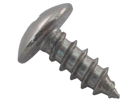 PENTAIR Pentair R172375 Lock Screw for High Capacity Automatic Feeder