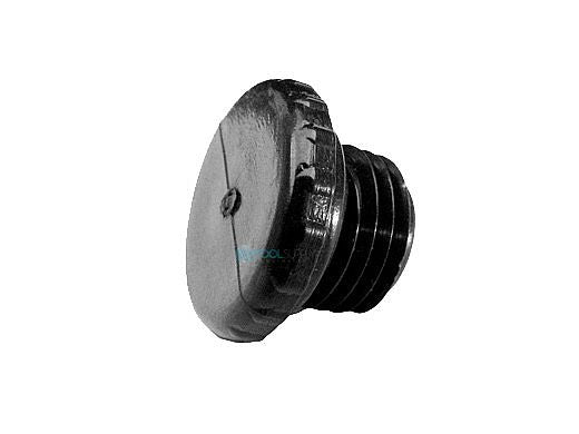 PENTAIR Pentair R172392 Access Plug 1/4 Inch MNPT Connection