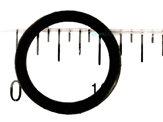 PENTAIR R172393 O-RINGS & GASKETS