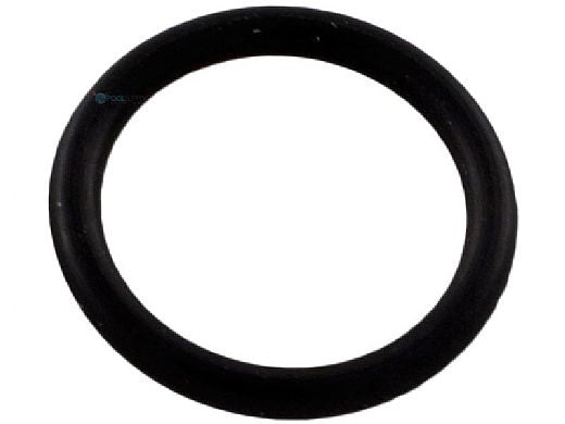 PENTAIR Pentair R172393 O-Ring | 0.62 Inch | Replacement MPN
