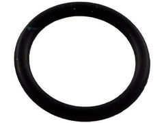 Pentair R172393 O-Ring | 0.62 Inch | Replacement MPN